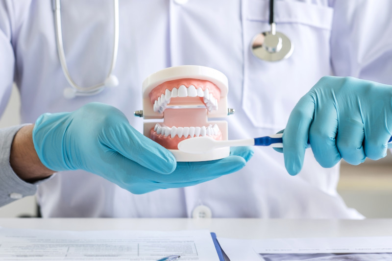 Dentist-hand-holding-of-jaw-model-of-teeth-and-cleaning-dental-w